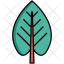 پیش‌نمایش فایل green-leaf-5385841 از پک طبیعت