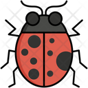 پیش‌نمایش فایل ladybug-5385847 از پک طبیعت
