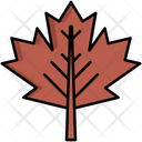 پیش‌نمایش فایل maple-leaf-5385853 از پک طبیعت