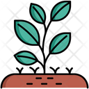 پیش‌نمایش فایل plant-5385866 از پک طبیعت