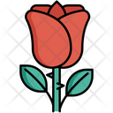 پیش‌نمایش فایل rose-5385870 از پک طبیعت