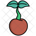 پیش‌نمایش فایل seed-5385871 از پک طبیعت
