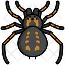 پیش‌نمایش فایل spider-5385876 از پک طبیعت