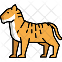 پیش‌نمایش فایل tiger-5385881 از پک طبیعت