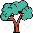 پیش‌نمایش فایل tree-evergreen-5385884 از پک طبیعت