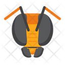 پیش‌نمایش فایل bee-5386732 از پک طبیعت