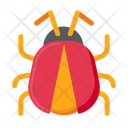 پیش‌نمایش فایل bug-insect-5386734 از پک طبیعت
