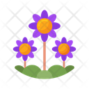 پیش‌نمایش فایل flower-5386751 از پک طبیعت