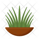 پیش‌نمایش فایل grass-5386757 از پک طبیعت