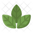 پیش‌نمایش فایل green-leaf-5386758 از پک طبیعت