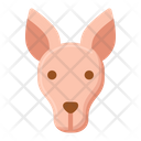 پیش‌نمایش فایل kangaroo-5386763 از پک طبیعت