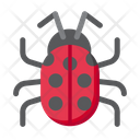 پیش‌نمایش فایل ladybug-5386764 از پک طبیعت