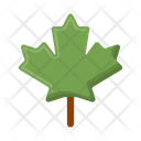 پیش‌نمایش فایل maple-leaf-5386770 از پک طبیعت