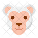 پیش‌نمایش فایل monkey-5386771 از پک طبیعت