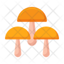 پیش‌نمایش فایل mushroom-5386776 از پک طبیعت