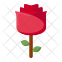 پیش‌نمایش فایل rose-5386787 از پک طبیعت