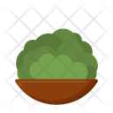 پیش‌نمایش فایل shrub-bush-5386790 از پک طبیعت