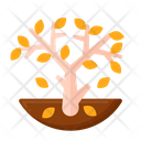 پیش‌نمایش فایل tree-deciduous-5386800 از پک طبیعت