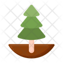 پیش‌نمایش فایل tree-evergreen-5386801 از پک طبیعت