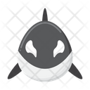 پیش‌نمایش فایل whale-5386809 از پک طبیعت