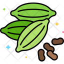 پیش‌نمایش فایل cardamom-5639432 از پک گیاهان دارویی و ادویه‌ها