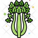 پیش‌نمایش فایل celery-5639433 از پک گیاهان دارویی و ادویه‌ها