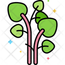 پیش‌نمایش فایل cress-5639439 از پک گیاهان دارویی و ادویه‌ها
