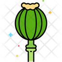 پیش‌نمایش فایل poppy-5639461 از پک گیاهان دارویی و ادویه‌ها