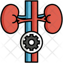 پیش‌نمایش فایل endocrinology-5708475 از پک پزشکی و مراقبت‌های بهداشتی