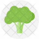 پیش‌نمایش فایل broccoli-green-plant-vegetable-cabbage-food-spinach-vegetarian از پک میوه و سبزیجات
