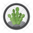 پیش‌نمایش فایل algae-7952419 از پک میکروب‌شناسی