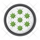 پیش‌نمایش فایل multicellular-cell-colony-7952471 از پک میکروب‌شناسی