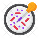پیش‌نمایش فایل staining-7952493 از پک میکروب‌شناسی