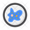 پیش‌نمایش فایل unicellular-single-cell-7952498 از پک میکروب‌شناسی