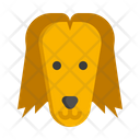 پیش‌نمایش فایل afghan-hound-dog-7950139 از پک حیوان خانگی