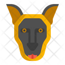 پیش‌نمایش فایل belgian-malinois-dog-7950145 از پک حیوان خانگی
