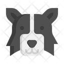 پیش‌نمایش فایل border-collie-dog-7950147 از پک حیوان خانگی