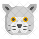 پیش‌نمایش فایل british-shorthair-cat-7950149 از پک حیوان خانگی