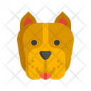 پیش‌نمایش فایل bulldog-dog-7950150 از پک حیوان خانگی