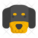 پیش‌نمایش فایل dachshund-dog-7950162 از پک حیوان خانگی