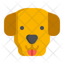پیش‌نمایش فایل golden-retriever-dog-7950175 از پک حیوان خانگی