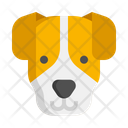 پیش‌نمایش فایل jack-russell-terrier-dog-7950182 از پک حیوان خانگی