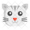 پیش‌نمایش فایل kitten-7950183 از پک حیوان خانگی