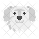 پیش‌نمایش فایل maltese-dog-7950187 از پک حیوان خانگی