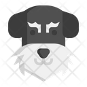 پیش‌نمایش فایل miniature-schnauzer-dog-7950189 از پک حیوان خانگی