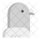 پیش‌نمایش فایل pigeon-7950198 از پک حیوان خانگی