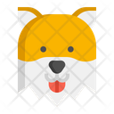 پیش‌نمایش فایل pomeranian-dog-7950201 از پک حیوان خانگی