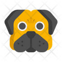پیش‌نمایش فایل pug-dog-7950203 از پک حیوان خانگی