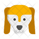 پیش‌نمایش فایل saluki-dog-7950210 از پک حیوان خانگی