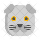 پیش‌نمایش فایل scottish-fold-cat-7950213 از پک حیوان خانگی